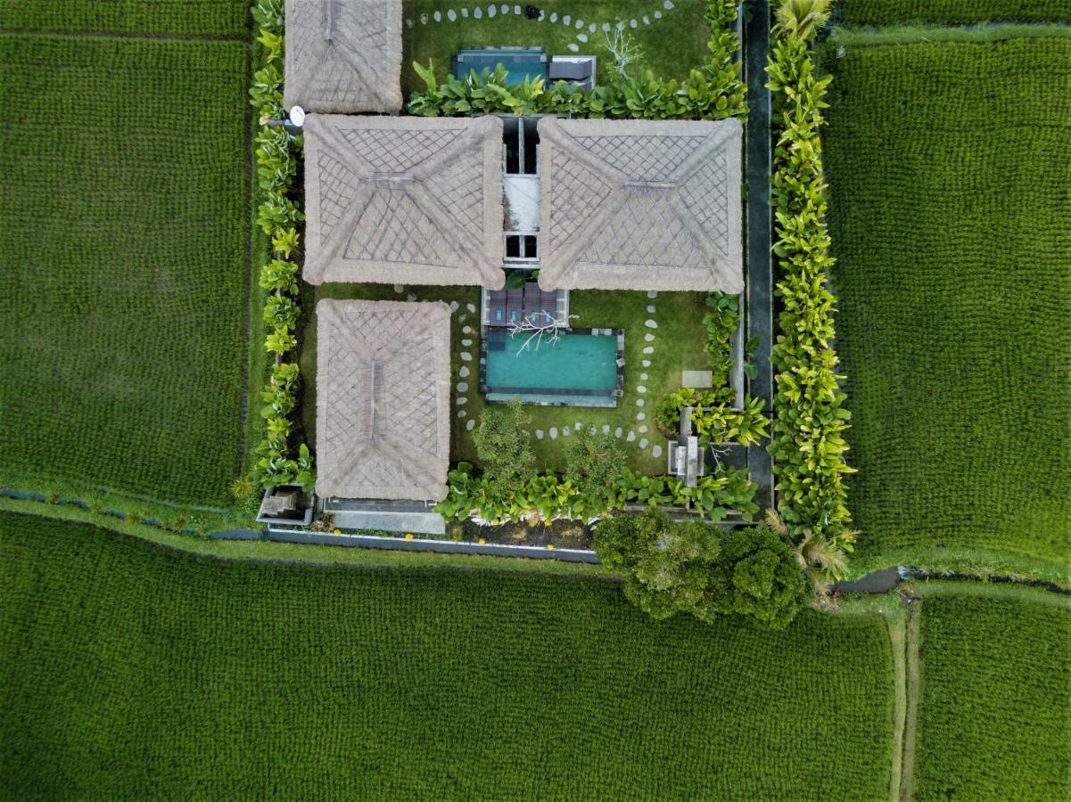 Three Gold Luxury Private Villas Ουμπούντ Εξωτερικό φωτογραφία